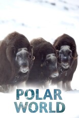 Polar World