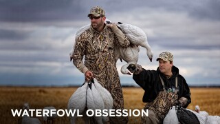 Waterfowl Obsession