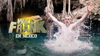 Wild Frank en México