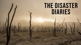 The Disaster Diaries