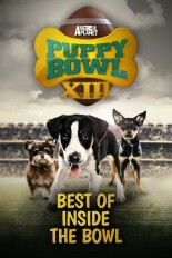 Puppy Bowl: Best of Inside the Bowl