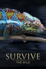 Survive the Wild