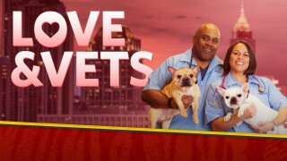 Love & Vets