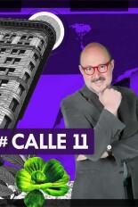 #Calle 11