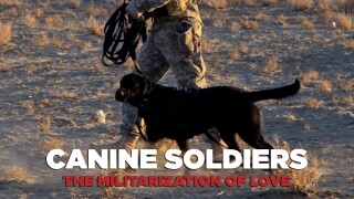 Canine Soldiers: The Militarization of Love