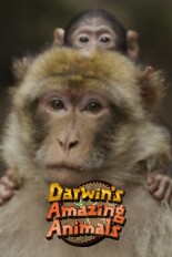 Darwin's Amazing Animals