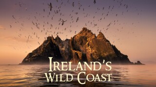 Ireland's Wild Coast