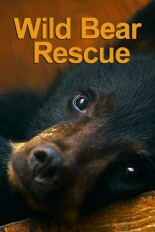 Wild Bear Rescue