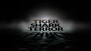Tiger Shark Terror