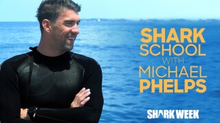 Shark School With Michael Phelps