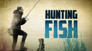 Hunting Fish