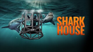 Shark House