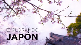 Explorando Japón