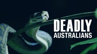 Deadly Australians