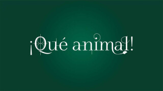 ¡Qué animal!