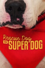 Rescue Dog to Super Dog