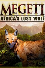 Megeti - Africa's Lost Wolf