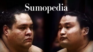 Sumopedia