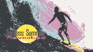 The Endless Summer Revisited