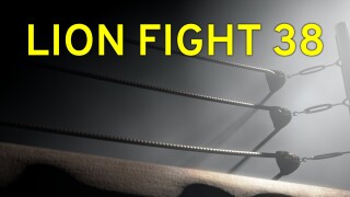 Lion Fight 38