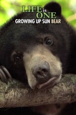 Life Is One: Growing Up Sun Bear