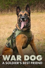 War Dog: A Soldier's Best Friend
