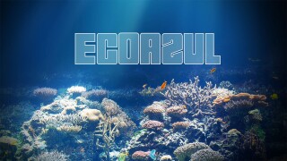 Ecoazul