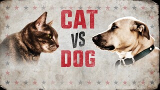 Cat vs. Dog