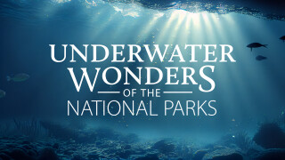 Underwater Wonders of the National Parks