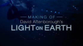 The Making of David Attenborough's Light on Earth