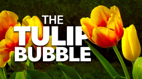 The Tulip Bubble