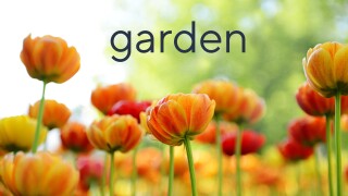 Garden Guide