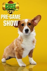 Puppy Bowl XIV Pre-game Show