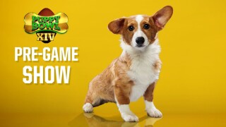 Puppy Bowl XIV Pre-game Show