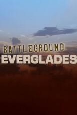 Battleground Everglades