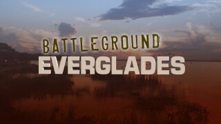 Battleground Everglades