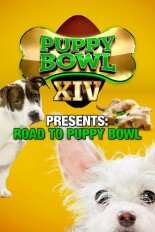 Puppy Bowl XIV Presents: Road to Puppy Bowl