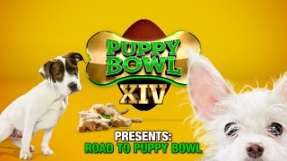 Puppy Bowl XIV Presents: Road to Puppy Bowl