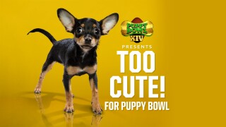 Puppy Bowl XIV Presents: Too Cute! For Puppy Bowl