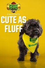 Puppy Bowl XIV Presents: Cute as Fluff