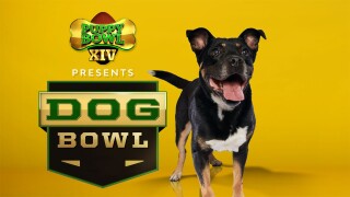 Puppy Bowl XIV Presents: The Dog Bowl