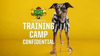 Puppy Bowl XIV Presents: Training Camp Confidential