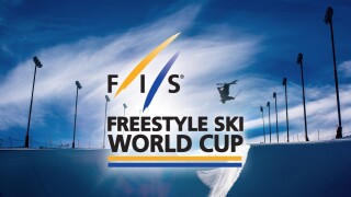 FIS Freestyle Skiing World Cup