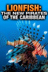 Lionfish: The New Pirates of the Caribbean