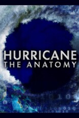 Hurricane the Anatomy