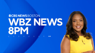 WBZ News 8p