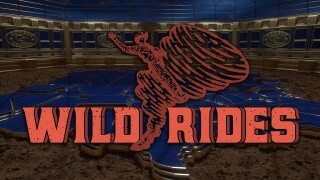 Wild Rides