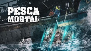 Pesca mortal