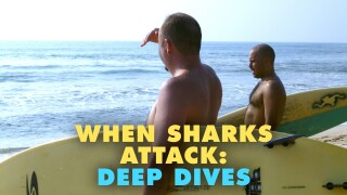 When Sharks Attack: Deep Dives