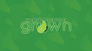 Washington Grown